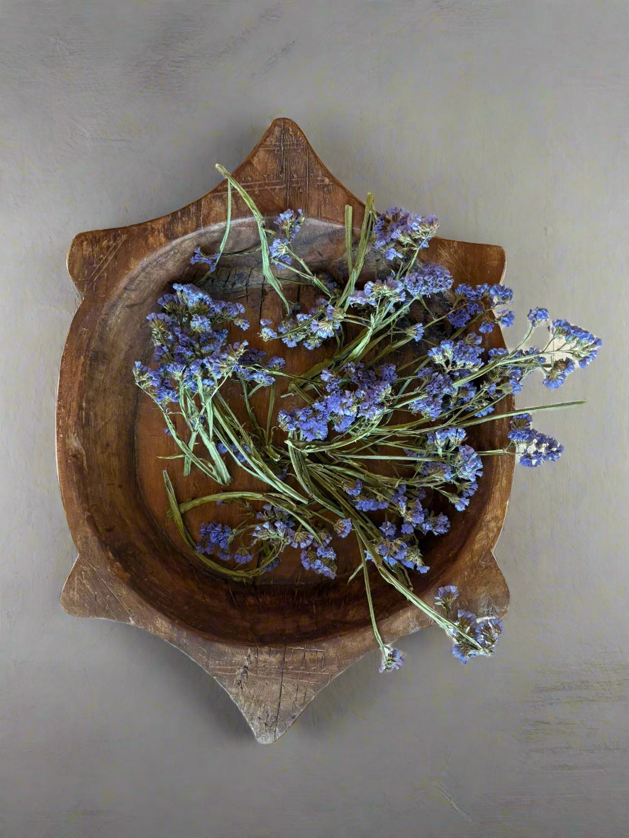Vintage Turtleback Tray