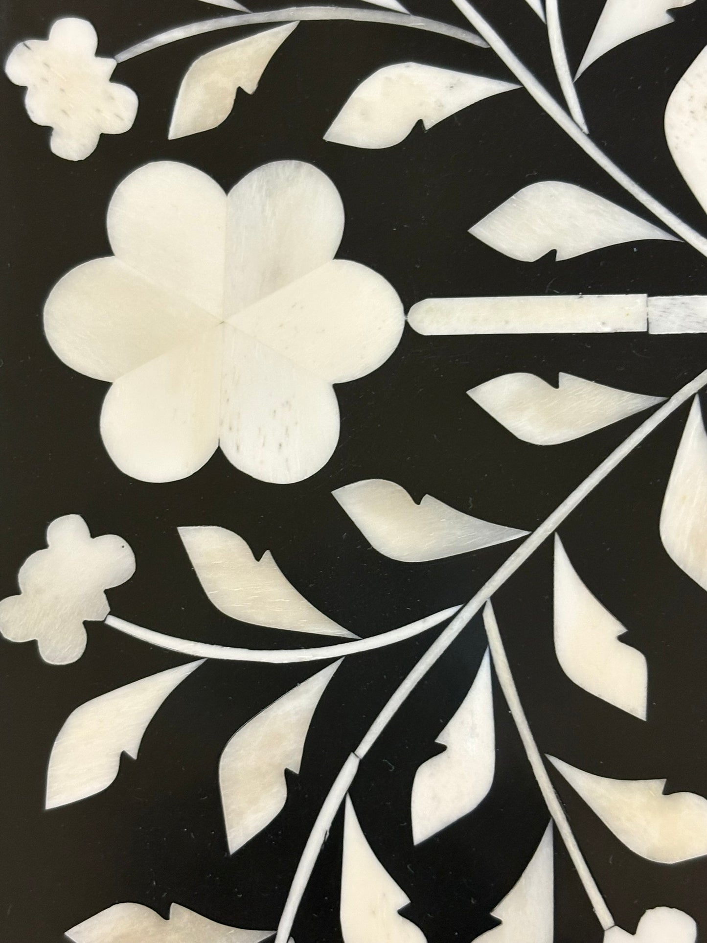 Amara Black & White Scalloped Mirror