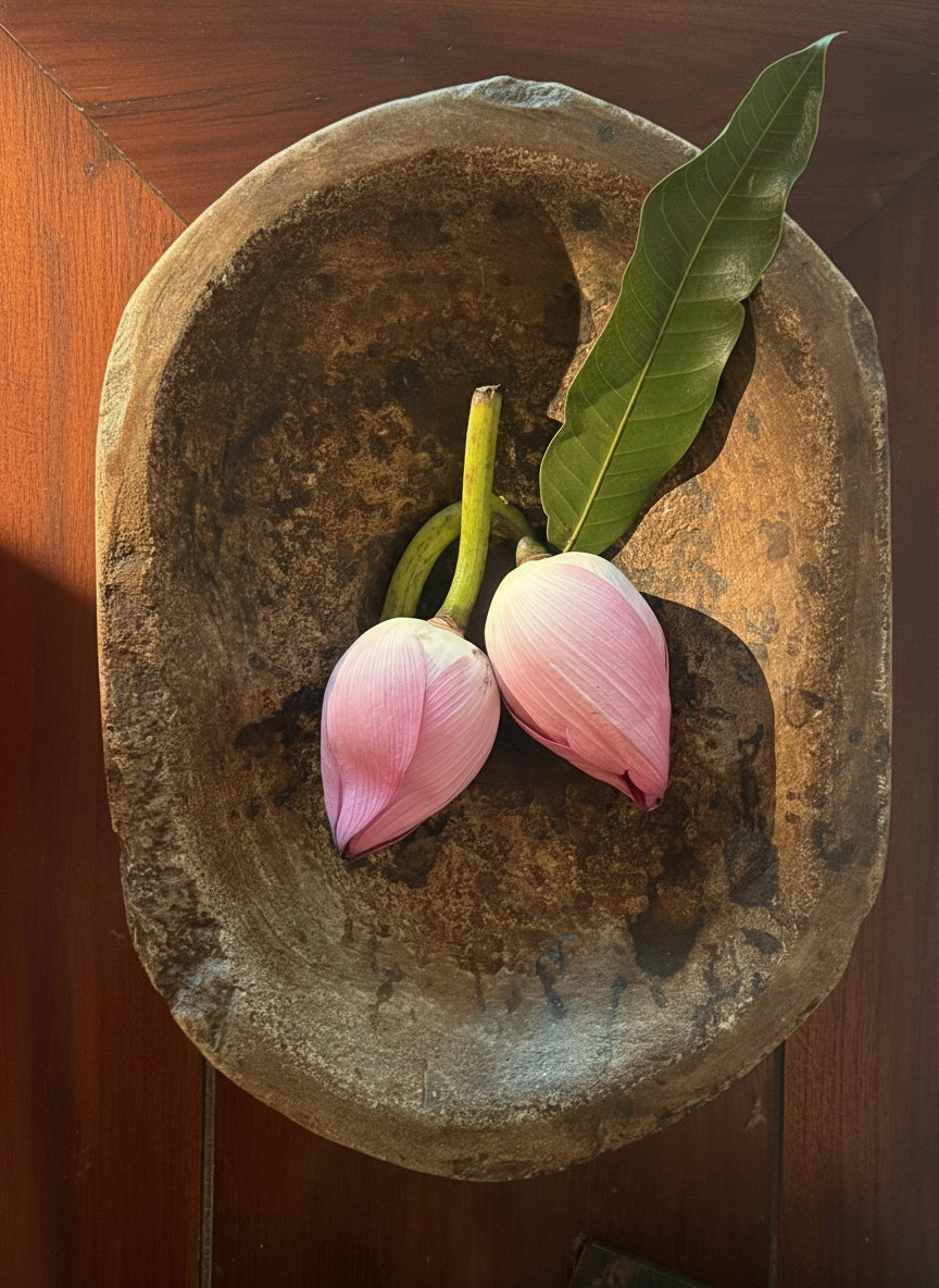 Pink flowers with green leaves on a rustic stone bowl